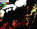 NOAA人工衛星画像:黒潮域, パス=20241016 01:12 UTC