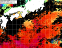 NOAA人工衛星画像:黒潮域, 1日合成画像(2024/10/17UTC)