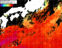 NOAA人工衛星画像:黒潮域, 1日合成画像(2024/10/19UTC)