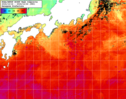NOAA人工衛星画像:黒潮域, 1週間合成画像(2024/10/16～2024/10/22UTC)