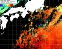 NOAA人工衛星画像:黒潮域, 1日合成画像(2024/10/24UTC)