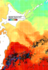 NOAA人工衛星画像:親潮域, 1週間合成画像(2024/10/20～2024/10/26UTC)