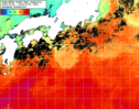 NOAA人工衛星画像:黒潮域, 1週間合成画像(2024/10/24～2024/10/30UTC)