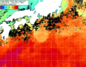 NOAA人工衛星画像:黒潮域, 1週間合成画像(2024/10/25～2024/10/31UTC)