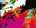 NOAA人工衛星画像:黒潮域, 1日合成画像(2024/11/02UTC)