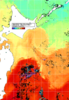NOAA人工衛星画像:親潮域, 1週間合成画像(2024/10/28～2024/11/03UTC)