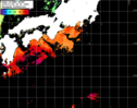 NOAA人工衛星画像:黒潮域, パス=20241106 02:33 UTC