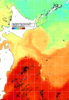 NOAA人工衛星画像:親潮域, 1週間合成画像(2024/10/31～2024/11/06UTC)