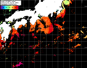 NOAA人工衛星画像:黒潮域, パス=20241107 02:20 UTC