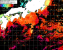 NOAA人工衛星画像:黒潮域, 1日合成画像(2024/11/07UTC)