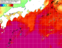 NOAA人工衛星画像:黒潮域, 1週間合成画像(2024/11/02～2024/11/08UTC)