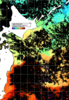 NOAA人工衛星画像:親潮域, 1日合成画像(2024/11/08UTC)