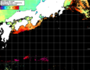 NOAA人工衛星画像:黒潮域, 1日合成画像(2024/11/09UTC)