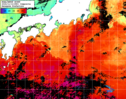 NOAA人工衛星画像:黒潮域, 1日合成画像(2024/11/12UTC)