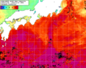 NOAA人工衛星画像:黒潮域, 1週間合成画像(2024/11/06～2024/11/12UTC)