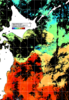 NOAA人工衛星画像:親潮域, 1日合成画像(2024/11/12UTC)