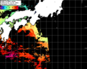 NOAA人工衛星画像:黒潮域, パス=20241113 14:09 UTC