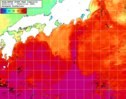 NOAA人工衛星画像:黒潮域, 1週間合成画像(2024/11/08～2024/11/14UTC)