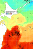 NOAA人工衛星画像:親潮域, 1週間合成画像(2024/11/08～2024/11/14UTC)