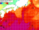 NOAA人工衛星画像:黒潮域, 1週間合成画像(2024/11/09～2024/11/15UTC)