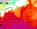 NOAA人工衛星画像:黒潮域, 1週間合成画像(2024/11/11～2024/11/17UTC)