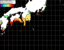 NOAA人工衛星画像:黒潮域, パス=20241119 00:50 UTC