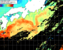 NOAA人工衛星画像:黒潮域, 1日合成画像(2025/06/04UTC)