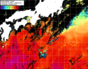 NOAA人工衛星画像:黒潮域, 1日合成画像(2025/06/21UTC)