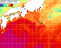 NOAA人工衛星画像:黒潮域, 1週間合成画像(2025/06/15～2025/06/21UTC)