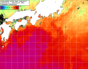NOAA人工衛星画像:黒潮域, 1週間合成画像(2025/06/19～2025/06/25UTC)