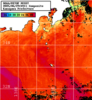 NOAA人工衛星画像:神奈川県近海, 1日合成画像(2025/06/29UTC)