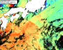 NOAA人工衛星画像:黒潮域, 1日合成画像(2025/07/03UTC)