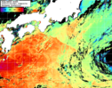 NOAA人工衛星画像:黒潮域, 1日合成画像(2025/07/04UTC)