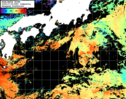 NOAA人工衛星画像:黒潮域, 1日合成画像(2025/07/06UTC)