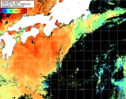 NOAA人工衛星画像:黒潮域, 1日合成画像(2025/08/02UTC)