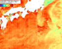 NOAA人工衛星画像:黒潮域, 1週間合成画像(2025/08/01～2025/08/07UTC)
