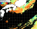 NOAA人工衛星画像:黒潮域, 1日合成画像(2025/08/08UTC)