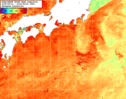NOAA人工衛星画像:黒潮域, 1週間合成画像(2025/08/02～2025/08/08UTC)