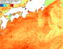 NOAA人工衛星画像:黒潮域, 1週間合成画像(2025/08/05～2025/08/11UTC)