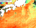 NOAA人工衛星画像:黒潮域, 1週間合成画像(2025/08/06～2025/08/12UTC)