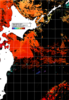 NOAA人工衛星画像:親潮域, 1日合成画像(2025/08/12UTC)