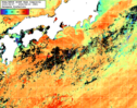 NOAA人工衛星画像:黒潮域, 1週間合成画像(2025/08/07～2025/08/13UTC)