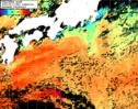 NOAA人工衛星画像:黒潮域, 1日合成画像(2025/08/17UTC)