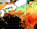 NOAA人工衛星画像:黒潮域, 1日合成画像(2025/08/19UTC)