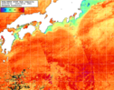 NOAA人工衛星画像:黒潮域, 1週間合成画像(2025/08/15～2025/08/21UTC)