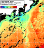 NOAA人工衛星画像:神奈川県近海, 1日合成画像(2025/08/24UTC)