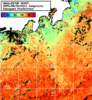 NOAA人工衛星画像:神奈川県近海, 1日合成画像(2025/08/25UTC)