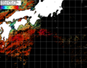 NOAA人工衛星画像:黒潮域, パス=20250829 00:25 UTC