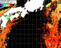 NOAA人工衛星画像:黒潮域, 1日合成画像(2025/09/02UTC)