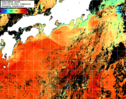 NOAA人工衛星画像:黒潮域, 1日合成画像(2025/09/08UTC)